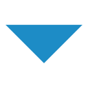Next instruction icon