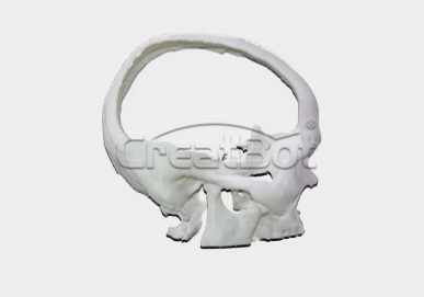 {{$t('peek-medical-case.cranium.alt1')}}